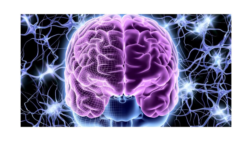 Pineal XT reviews