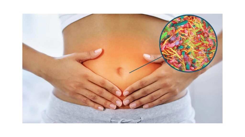 DigestiStart reviews
