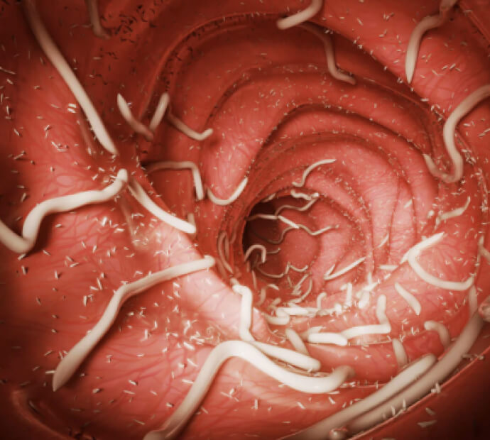 Clarexin Intestinal Parasite Cleanse review