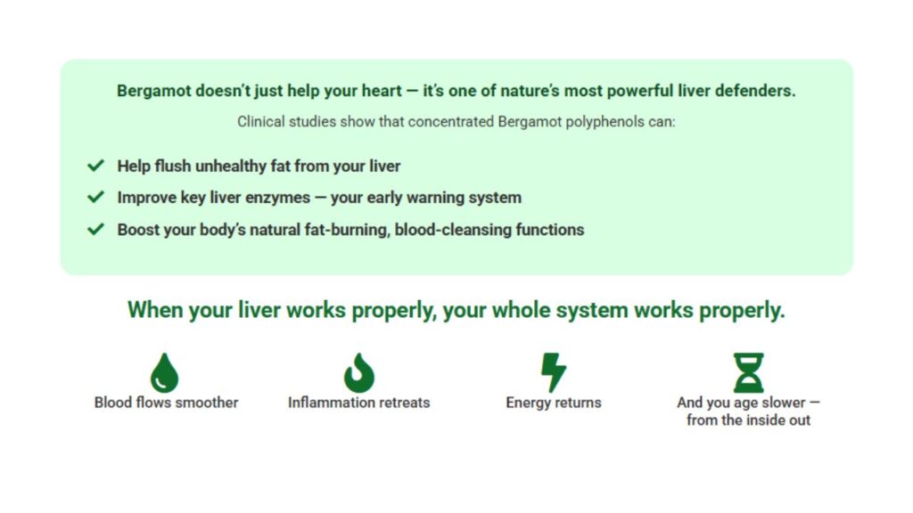 Bergamot-Plus-review