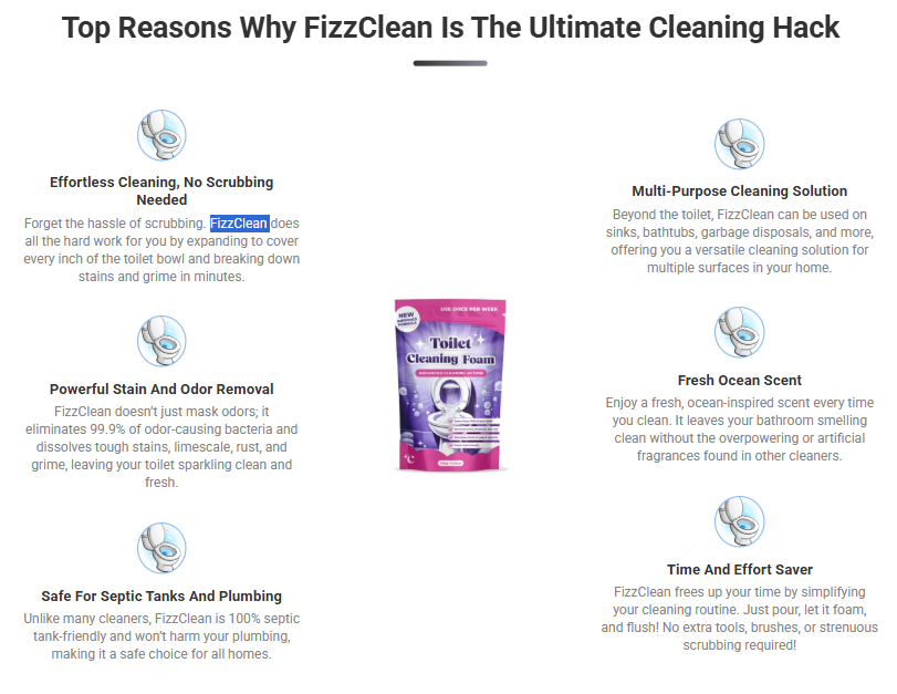 FizzClean-review
